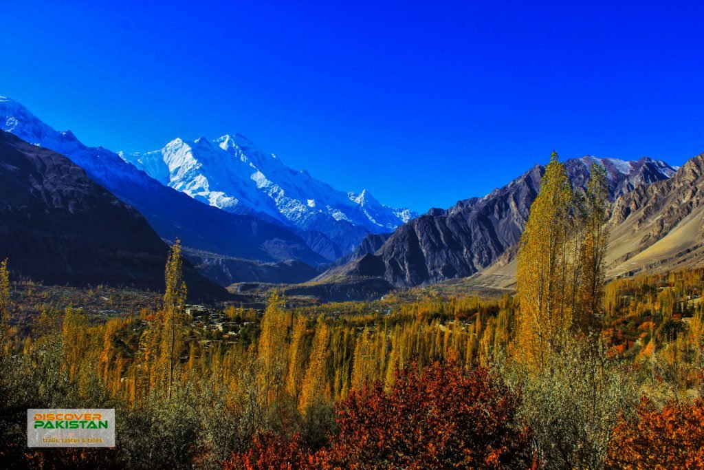 Shangri-La & Little Tibet: Valleys of Blossom and Peaks of Majesty