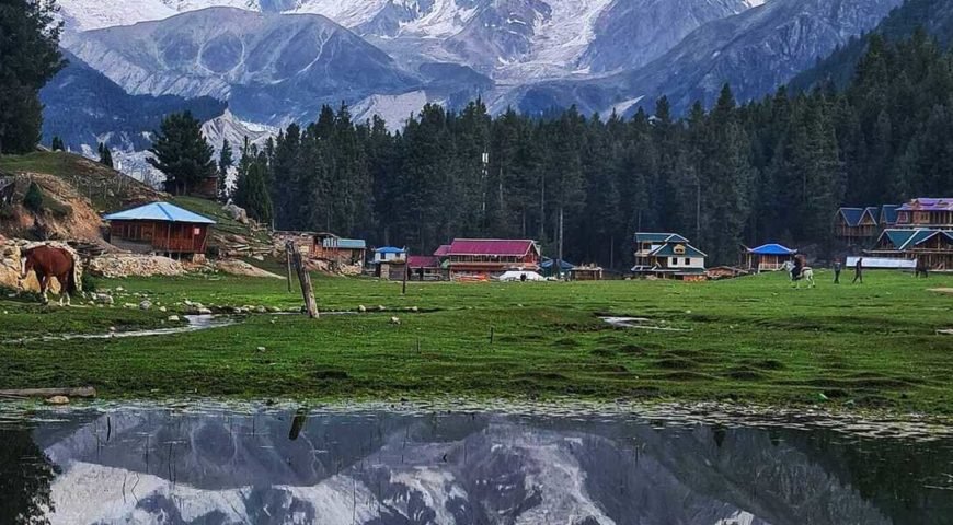 Fairy Meadows