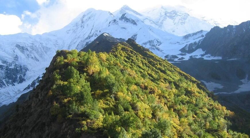 Rakaposhi in Karakorum