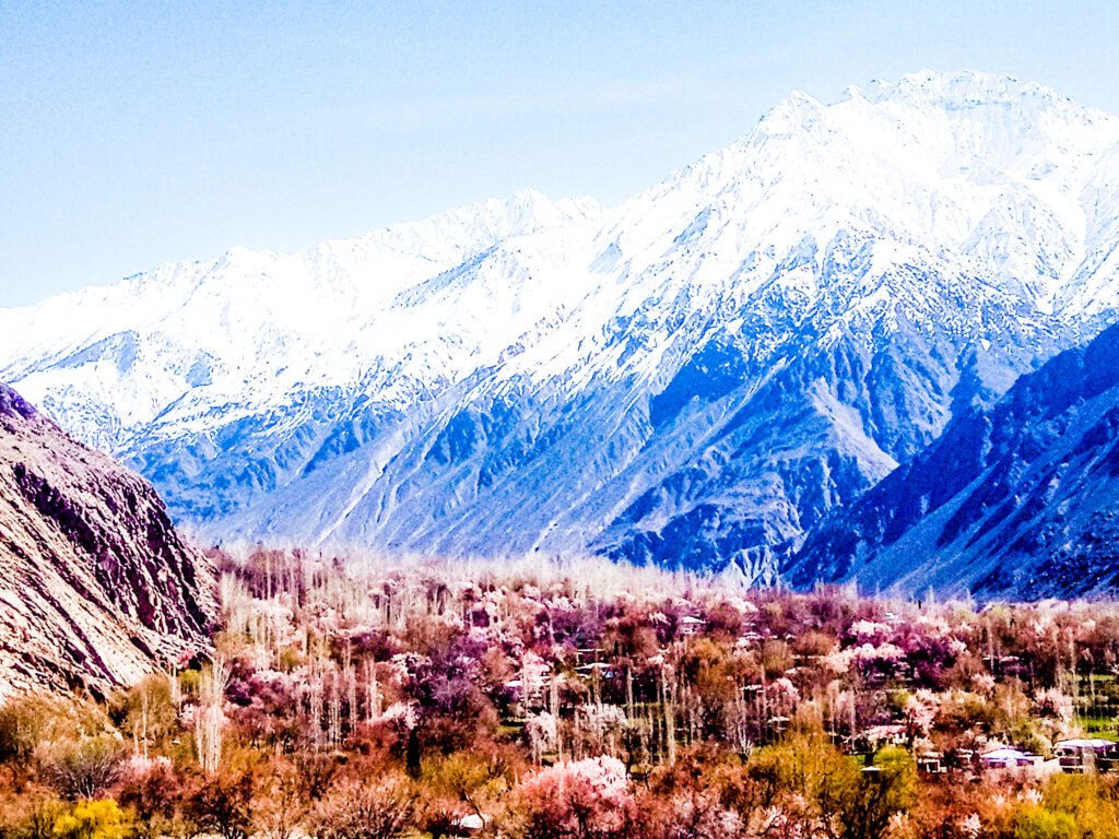 Spring Blossom is the best time to visit in Northern Pakistan from March 20 to May 20 