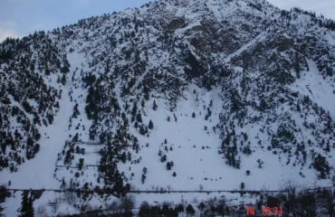 DSC07229